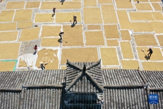 9月16日，村民在貴州省黔東南苗族侗族自治州從江縣剛邊壯族鄉(xiāng)三聯(lián)村晾曬稻谷（無人機照片）。