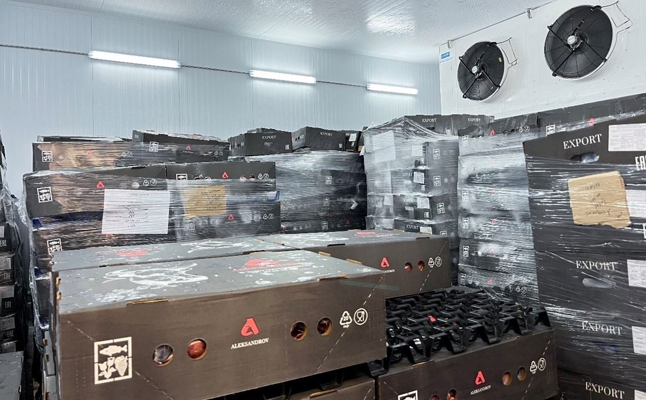 恒溫冷庫(kù)中，包裝好的牛肉等待發(fā)往中國(guó)。人民網(wǎng)記者 朱虹攝