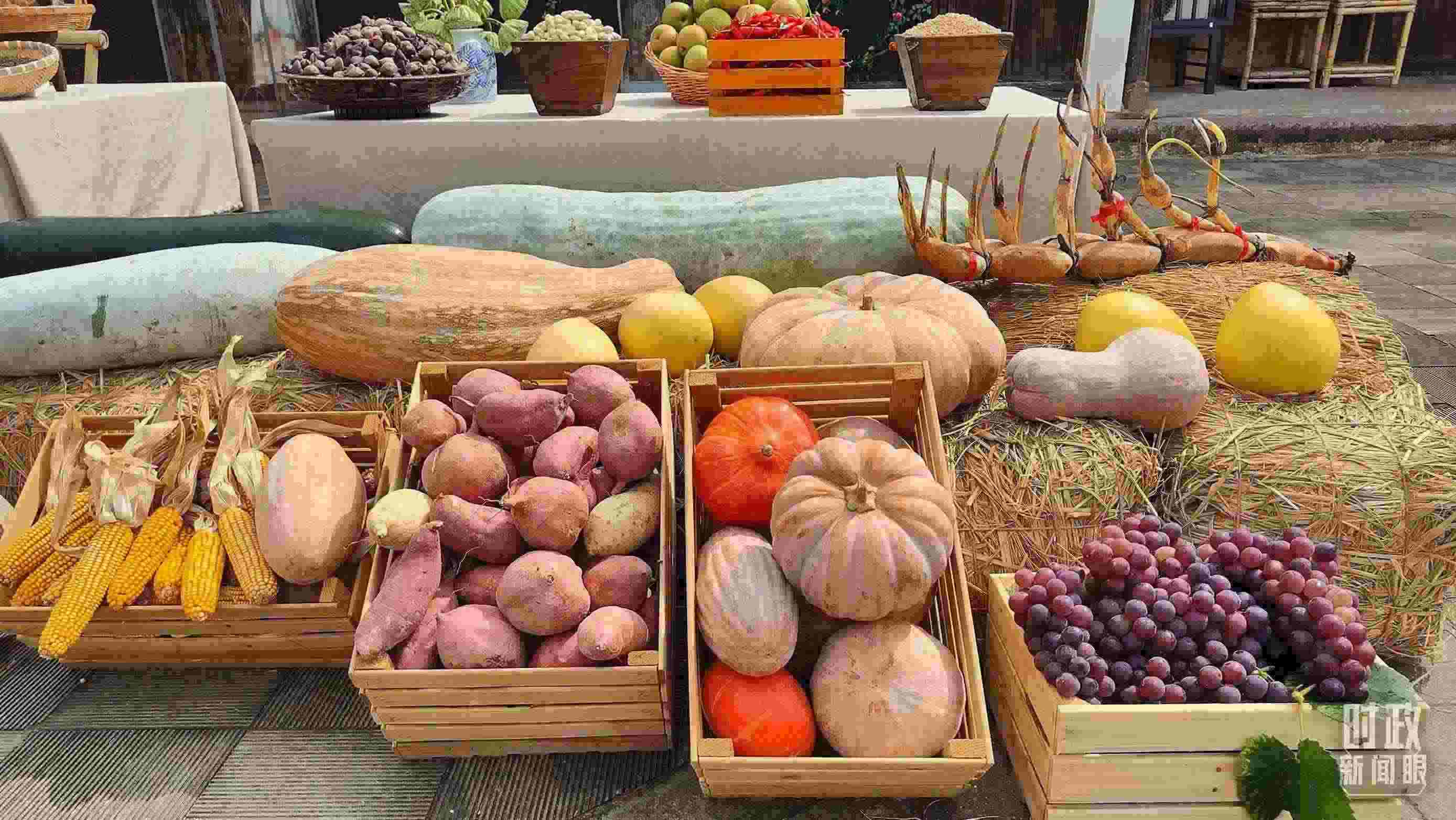 △村廣場“共富市集”，擺放著種類豐富的特色農(nóng)產(chǎn)品。（總臺(tái)央視記者楊立峰拍攝）