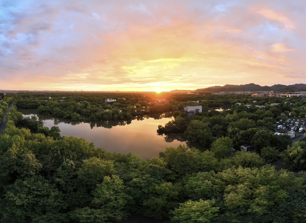 杭州西溪濕地日出景觀。