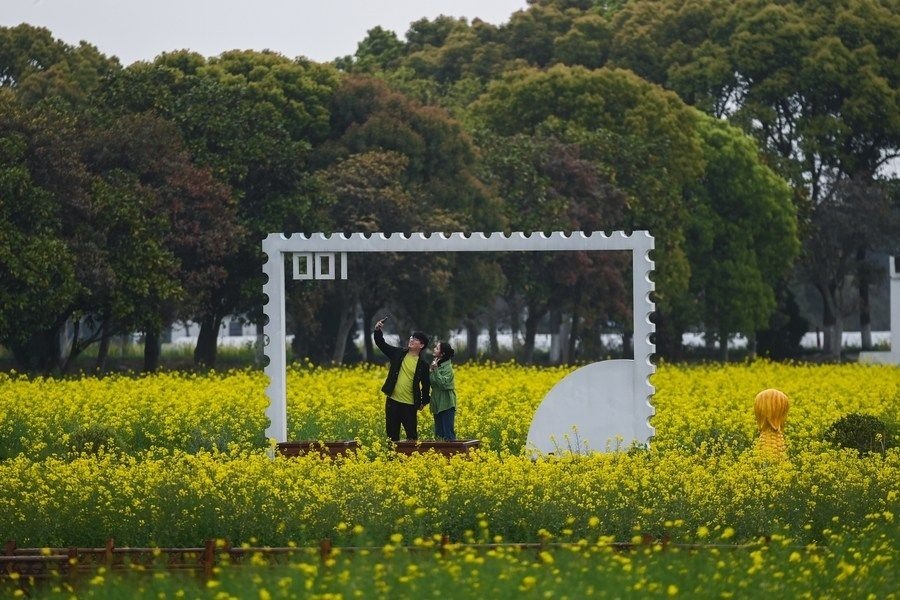  游客在浙江嘉興市秀洲區(qū)王店鎮(zhèn)鎮(zhèn)中村的“青青樂(lè)地”農(nóng)耕文化園內(nèi)游玩（2023年4月3日攝）。