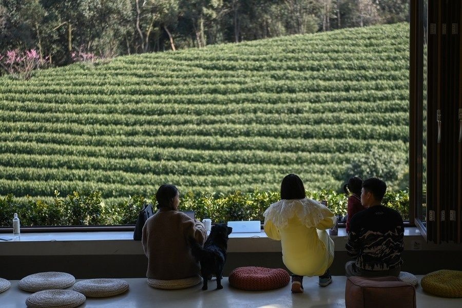 游客在浙江省安吉縣黃杜村萬(wàn)畝茶園邊的咖啡館休閑（2023年2月21日攝）。