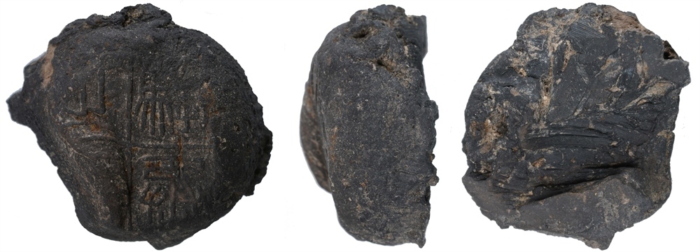 騶丞之?。ㄇ卮椅奈锞止﹫D