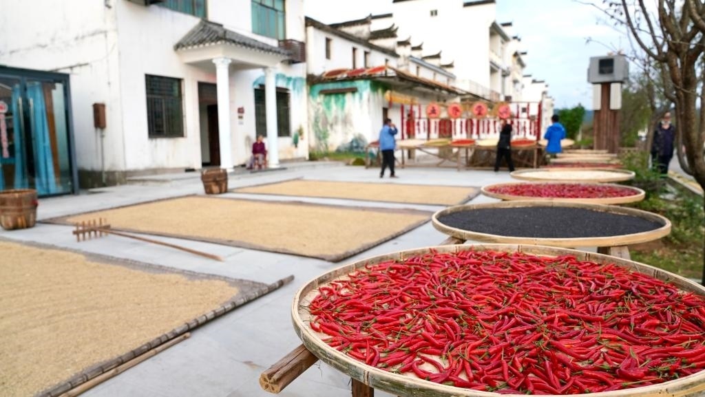 近日拍攝的江西省上饒市婺源縣秋口鎮(zhèn)王村石門自然村。新華社記者 胡晨歡 攝