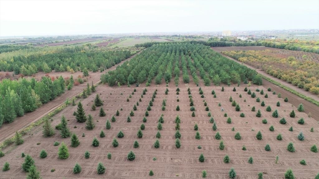 這是2023年9月11日在哈薩克斯坦首都阿斯塔納拍攝的一處植物種質(zhì)資源苗圃（無人機照片）。新華社發(fā)（法爾哈特·圖克諾夫 攝）