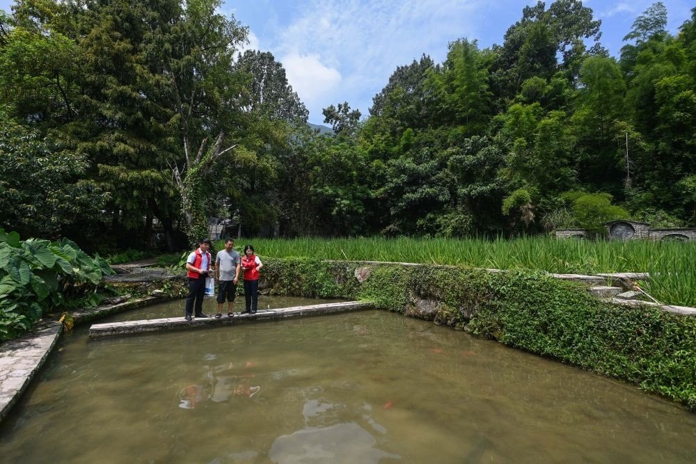 2023年8月17日，浙江省麗水市青田縣方山鄉(xiāng)田魚養(yǎng)殖戶吳勇強（中）在接受青田農(nóng)商銀行“小蜻蜓”服務(wù)隊志愿者提供的“惠民易貸”上門服務(wù)。近年來，青田縣金融發(fā)展中心聯(lián)合各個金融機構(gòu)優(yōu)化配套鄉(xiāng)村振興金融服務(wù)，推出“惠民易貸”“農(nóng)家樂貸”等金融產(chǎn)品，重點支持涉農(nóng)龍頭企業(yè)及特色種養(yǎng)殖產(chǎn)業(yè)。新華社記者 徐昱 攝