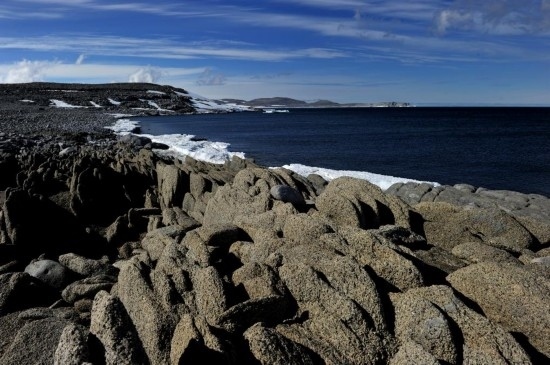 羅斯海恩克斯堡島的夏季風(fēng)光。新華社記者 張建松 攝