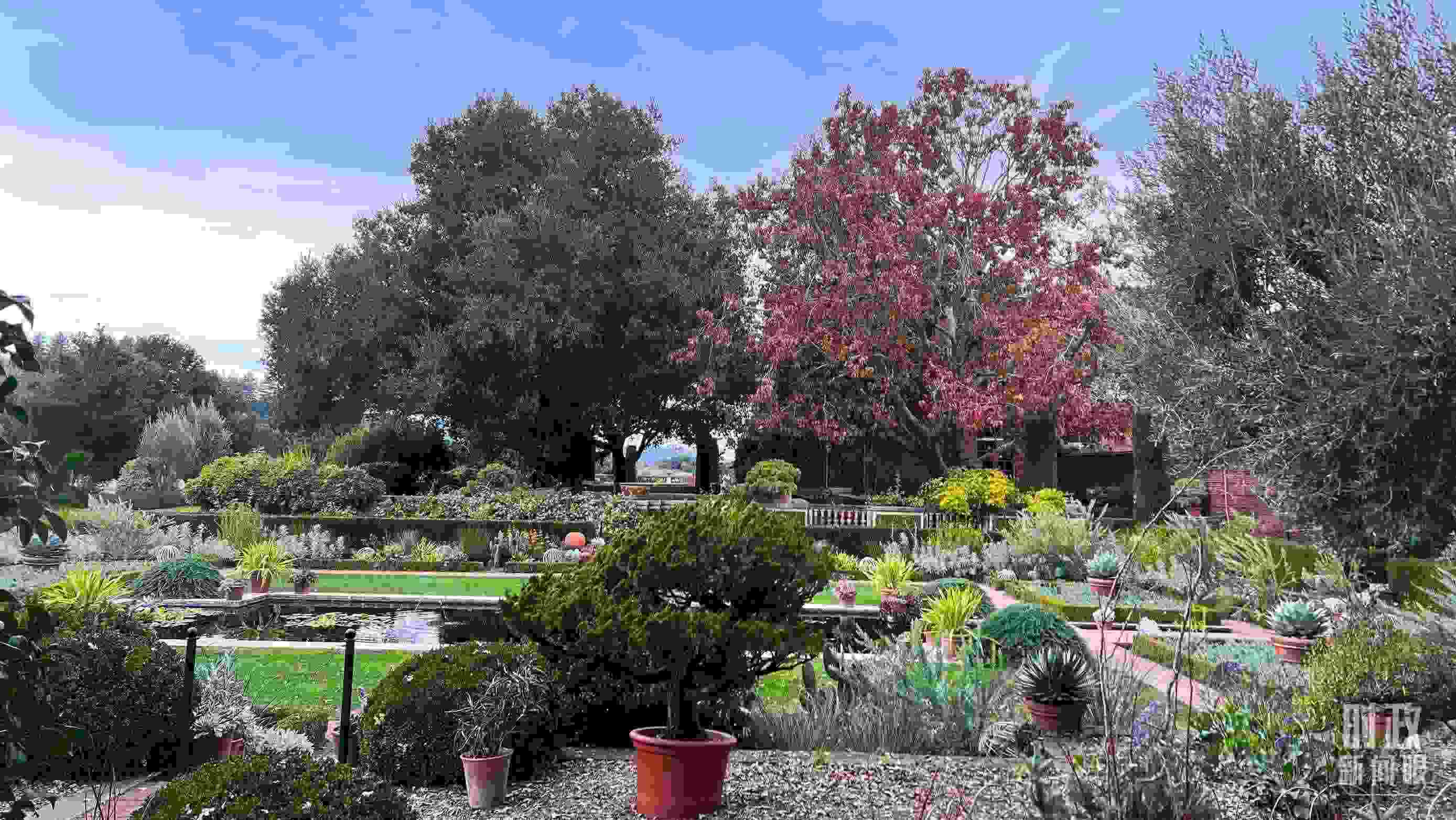 斐洛里莊園被稱作美國20世紀(jì)現(xiàn)存最精美鄉(xiāng)村莊園之一。（總臺央視記者程鋮拍攝）