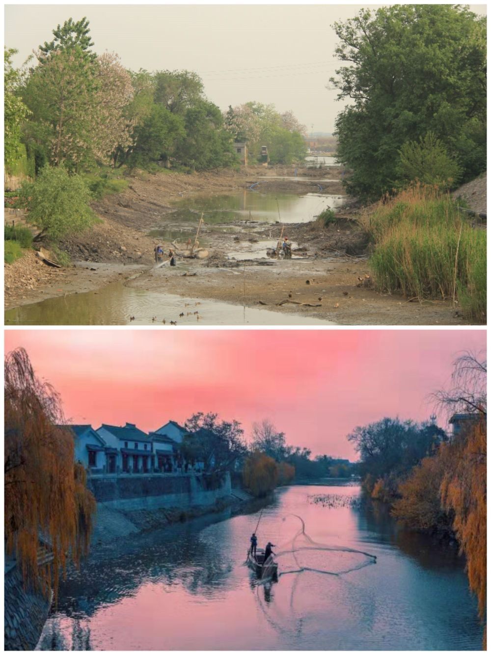 江蘇省揚(yáng)州市江都區(qū)明清運(yùn)河故道整治前后。（上圖：2012年；下圖：2020年）（孫友定 攝）