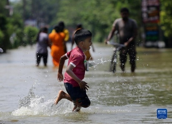 11月24日，一名男孩在斯里蘭卡加姆珀哈涉水出行。新華社發(fā)（阿吉特·佩雷拉攝）