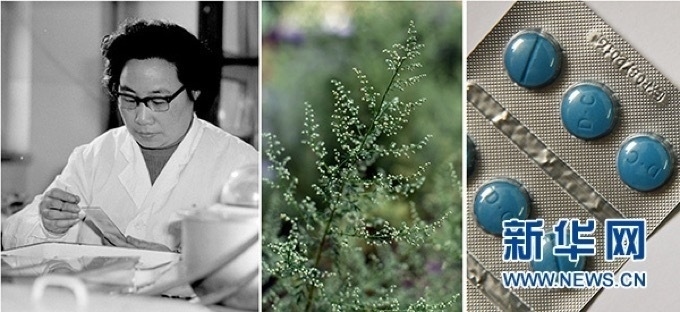 屠呦呦、青蒿和抗瘧疾成藥（拼版資料照片）
