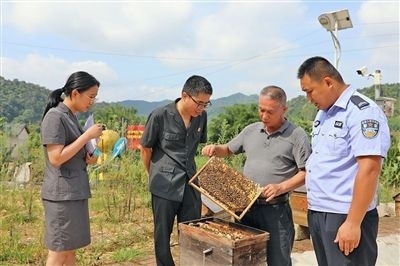  圖②：蒙山法院黃村法庭法官深入蜂蜜合作社，實地了解蜂農(nóng)需求。