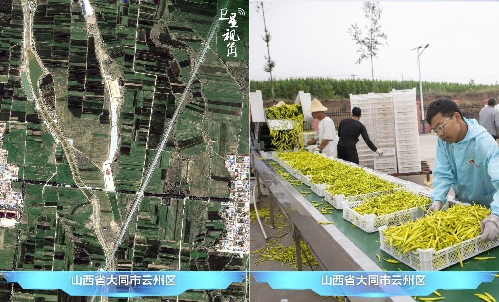 當(dāng)前，大同市開(kāi)發(fā)黃花菜品、食品、飲品、功能食品、化妝品、文創(chuàng)產(chǎn)品六大系列130余種，全產(chǎn)業(yè)鏈產(chǎn)值超40億元。