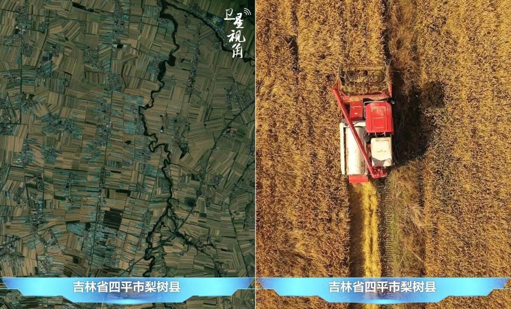 隨著現(xiàn)代化農(nóng)機(jī)普及應(yīng)用，保護(hù)性耕作“梨樹(shù)模式”得以大面積推廣，不僅使黑土地保護(hù)與利用持續(xù)深入，更為糧食作物高產(chǎn)穩(wěn)產(chǎn)助力。