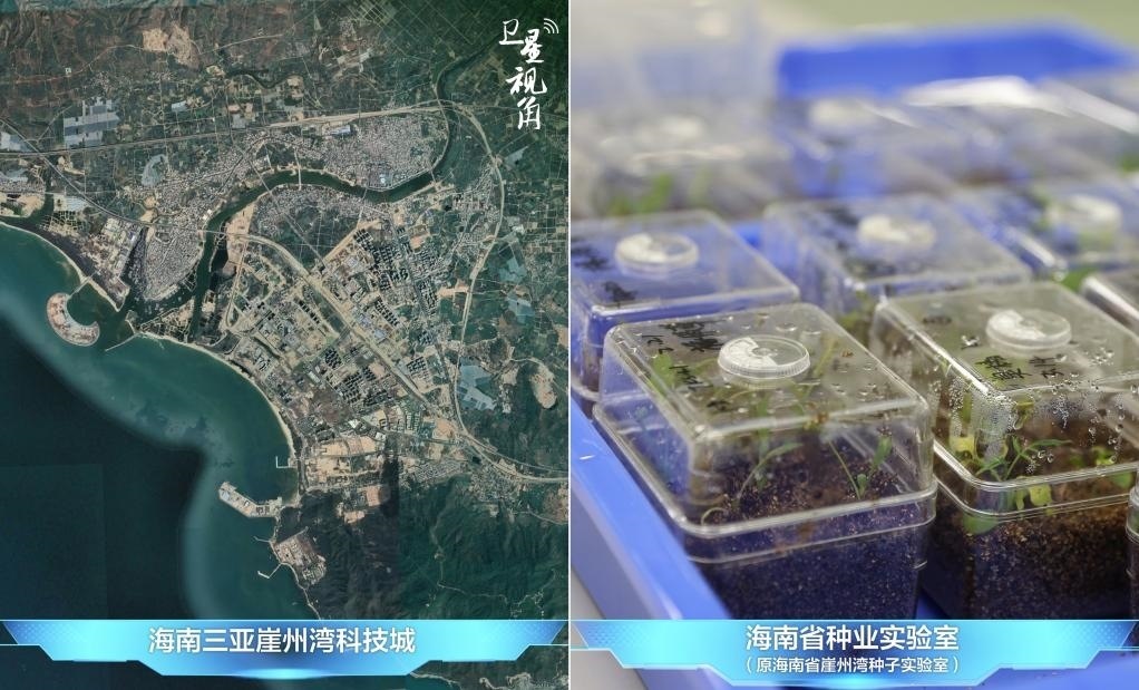 位于三亞崖州灣科技城的海南省種業(yè)實(shí)驗(yàn)室（原海南省崖州灣種子實(shí)驗(yàn)室）將形成輻射全國(guó)和“一帶一路”沿線國(guó)家的種子科學(xué)技術(shù)創(chuàng)新中心。