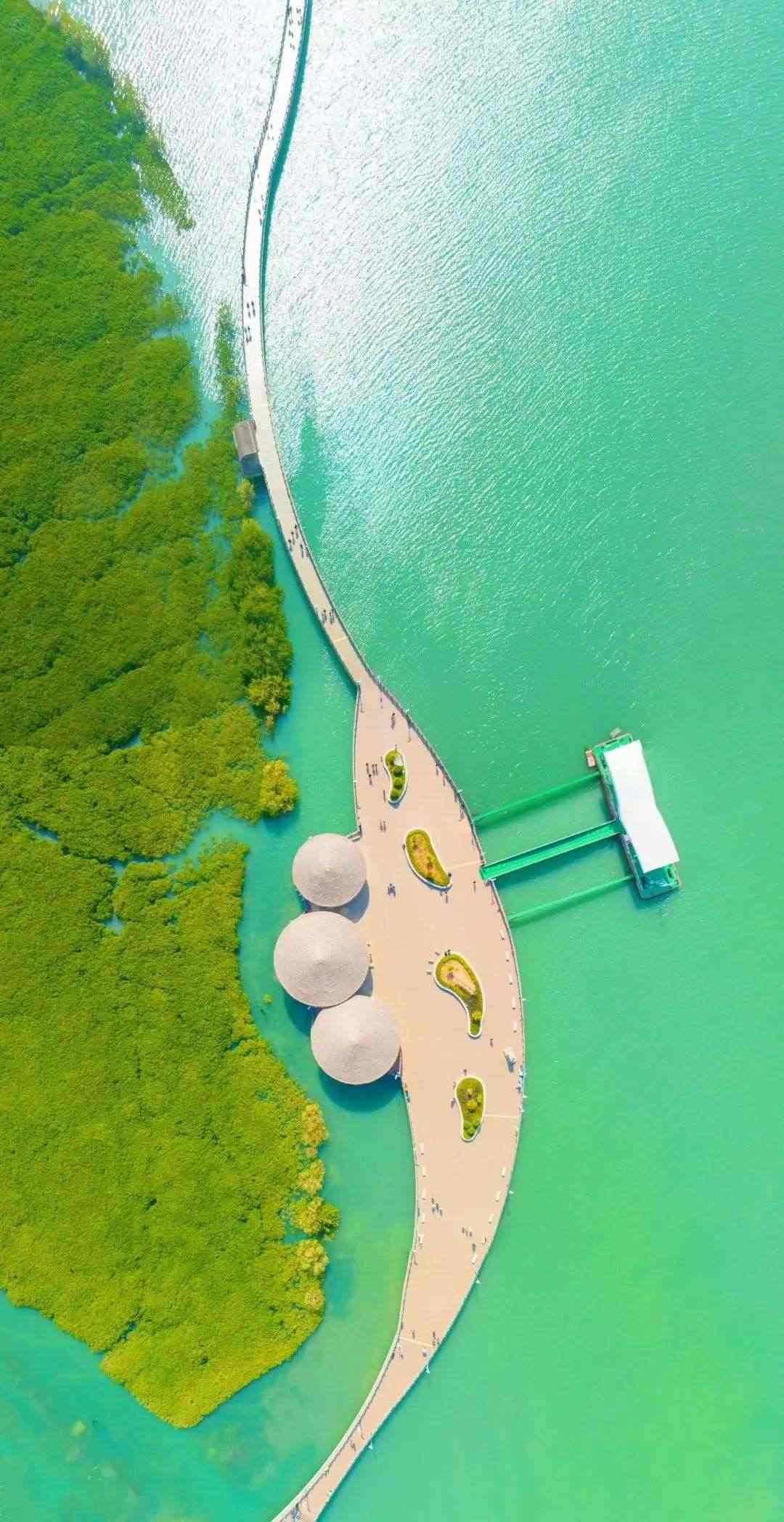 下潭尾紅樹(shù)林公園（人民網(wǎng)記者 陳博攝） 