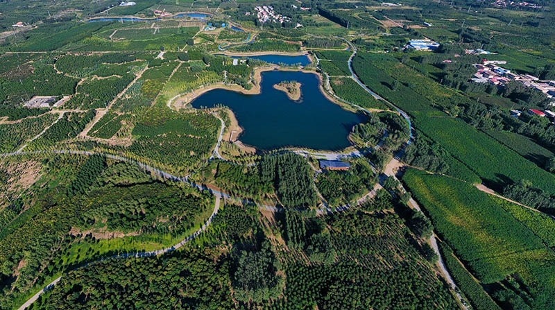 這是2022年9月6日拍攝的雄安新區(qū)“千年秀林”。