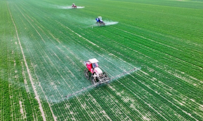 2024年2月18日，安徽省亳州市，利辛縣紀王場鄉(xiāng)孫老家村麥田，農民駕駛自走式高桿噴霧機對小麥進行噴藥作業(yè)。