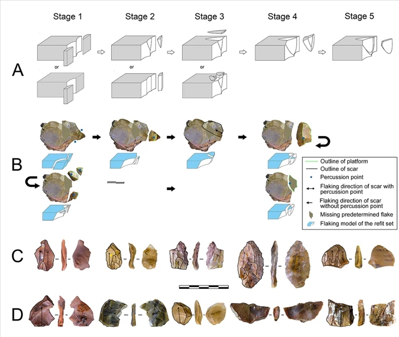 岑家灣遺址“準(zhǔn)備石核技術(shù)”及相關(guān)石制品。（受訪單位供圖）