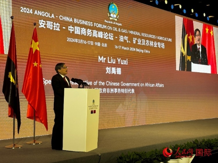 中國政府非洲事務(wù)特別代表劉禹錫。人民網(wǎng)記者 張榮攝