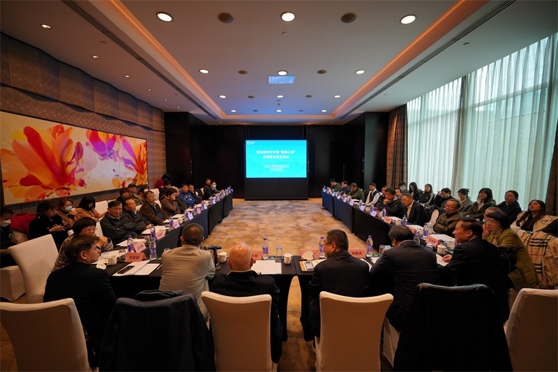 座談會現(xiàn)場。主辦方供圖
