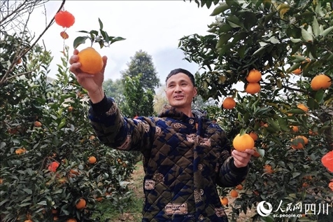 鐵牛村村民趙光進(jìn)。人民網(wǎng)記者 朱虹攝