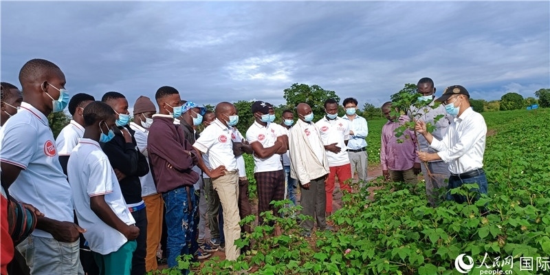 項目組長首小勇向當?shù)孛揶r(nóng)做技術(shù)講解。人民網(wǎng)記者 黃培昭攝