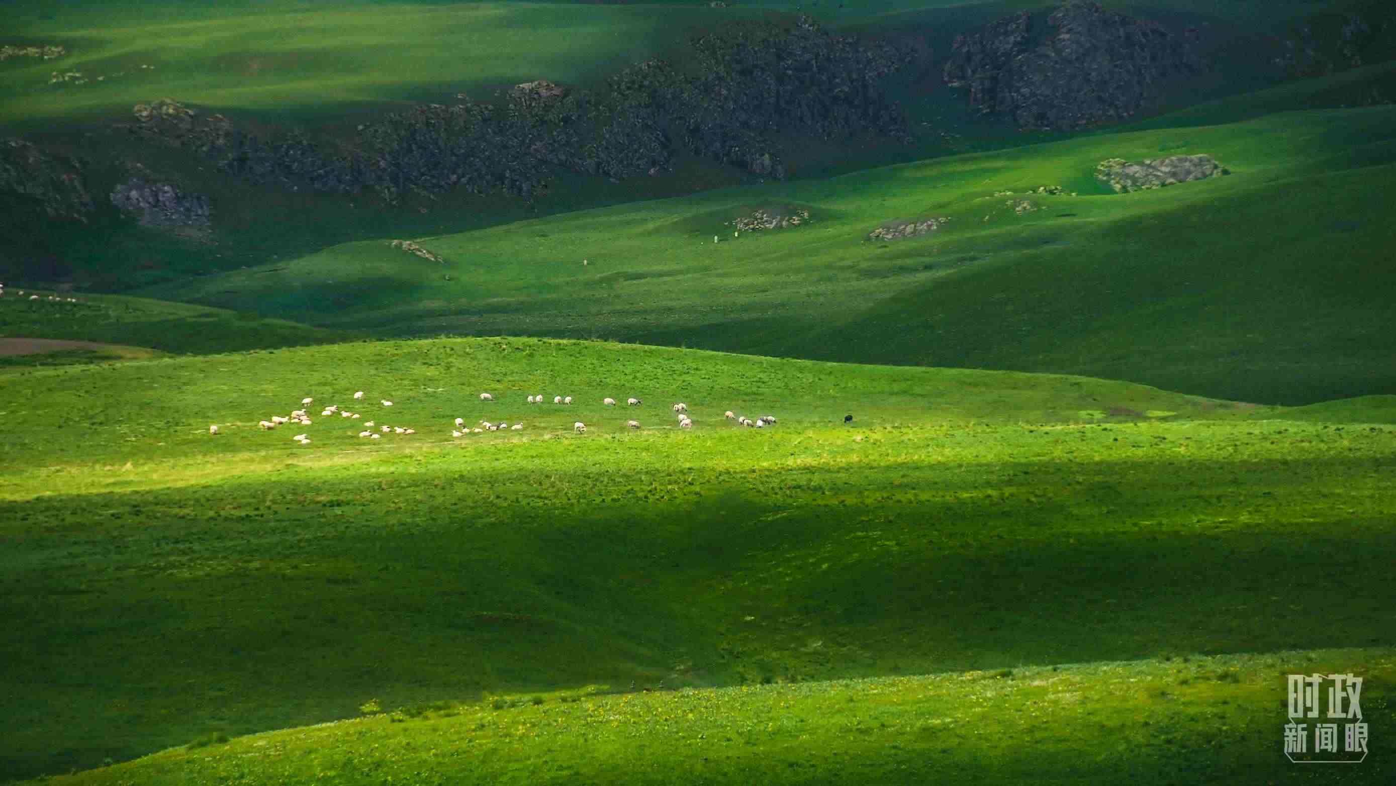 △祁連山草原光影。（圖/視覺中國）