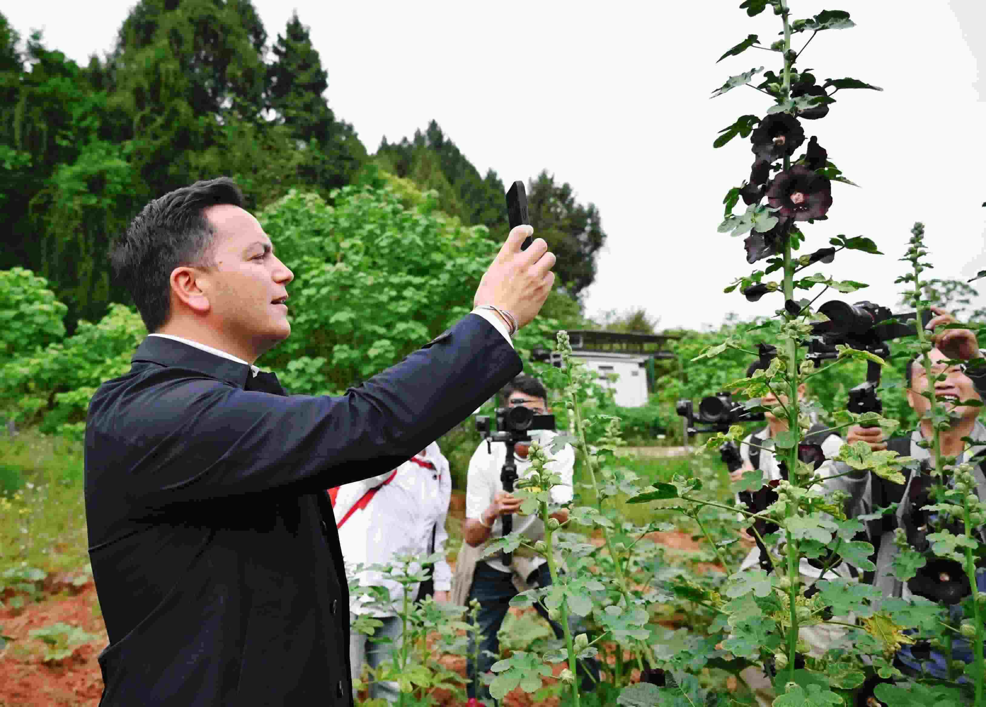  △2024年4月23日，國際園藝生產(chǎn)者協(xié)會主席萊昂納多·卡皮塔尼奧在成都市金堂縣鮮花山谷景區(qū)考察蜀葵產(chǎn)業(yè)。