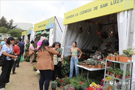 坎波·馬特活動現(xiàn)場。埃內(nèi)斯托·多明戈斯攝