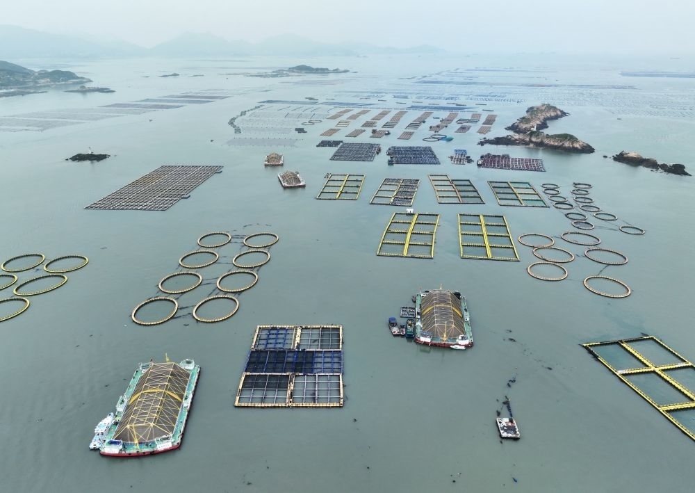在福建連江定海灣海域，坐落著“定海灣1號”“定海灣2號”等深遠(yuǎn)海養(yǎng)殖平臺（2024年5月7日攝，無人機(jī)照片）。新華社記者 林善傳 攝