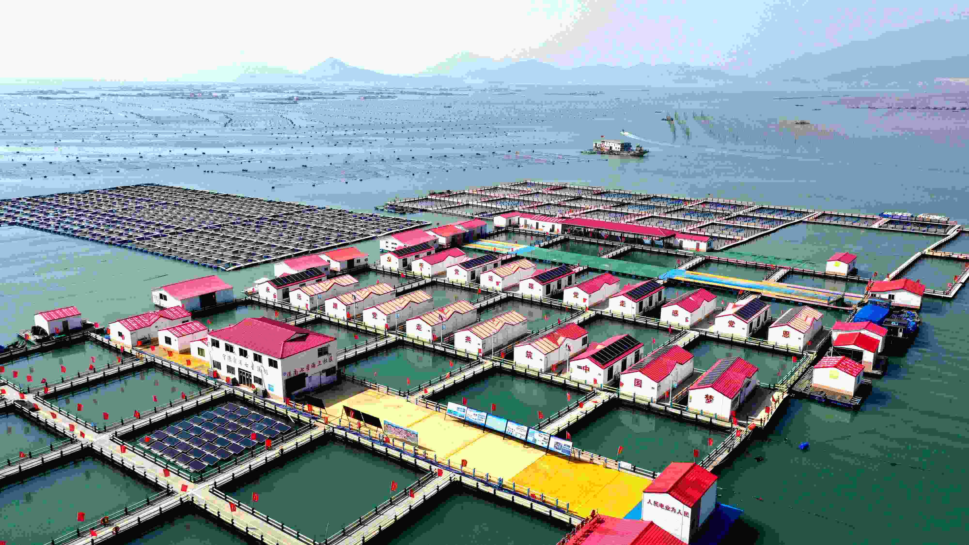 2024年3月20日，福建省寧德市，霞浦縣溪南鎮(zhèn)七星村漁排養(yǎng)殖示范區(qū)，漁民駕駛養(yǎng)殖船進行海參養(yǎng)殖作業(yè)。