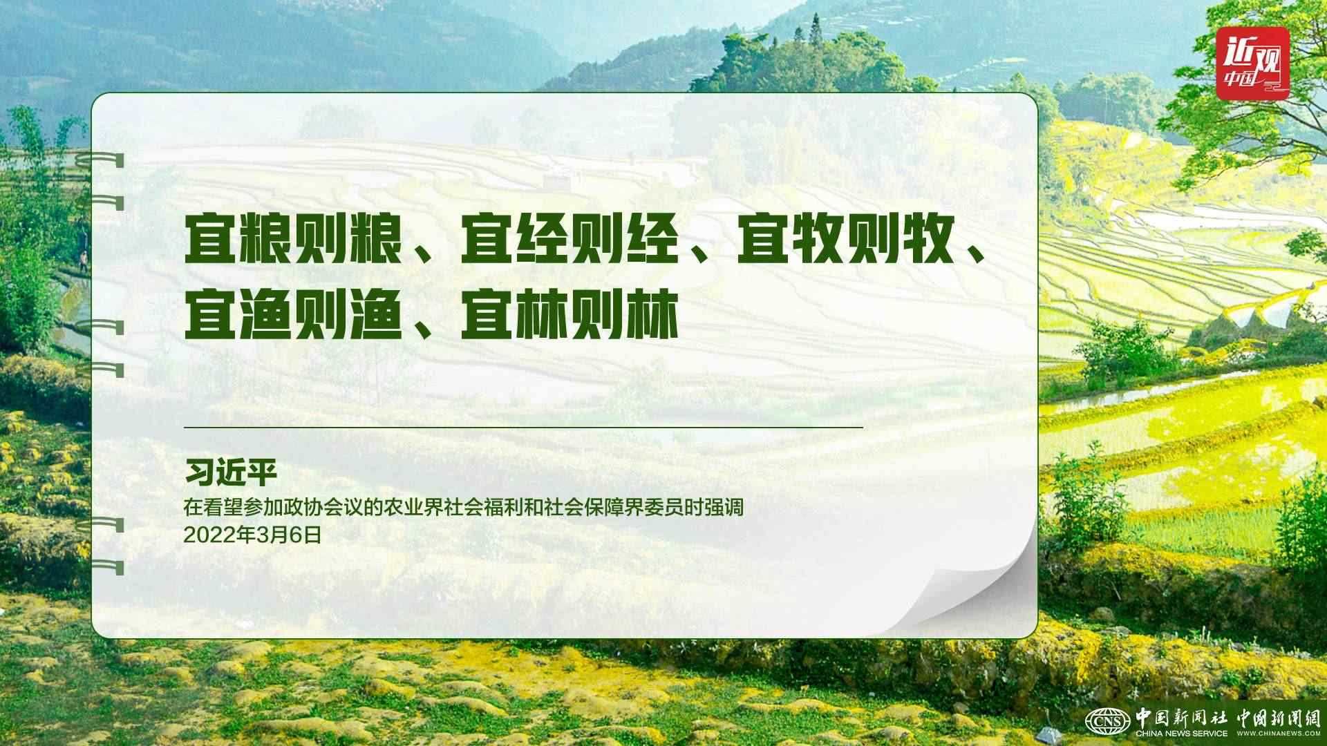 習(xí)近平：樹立大食物觀，構(gòu)建多元化食物供給體系