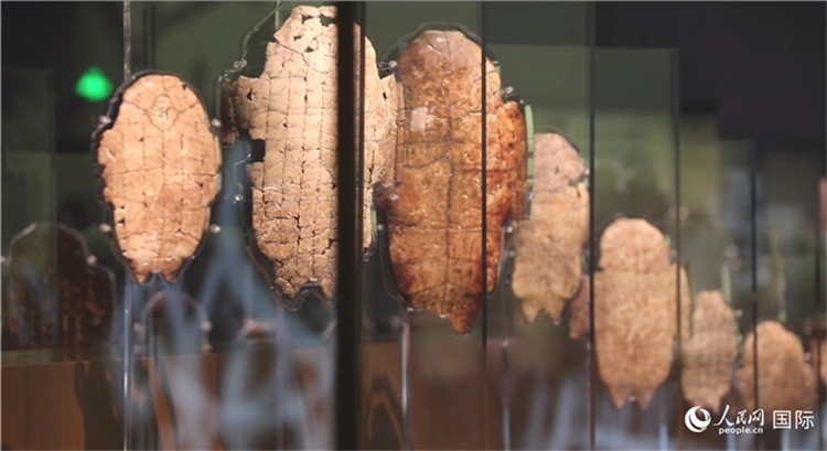 殷墟博物館新館的甲骨展品。人民網(wǎng)記者 劉寧攝