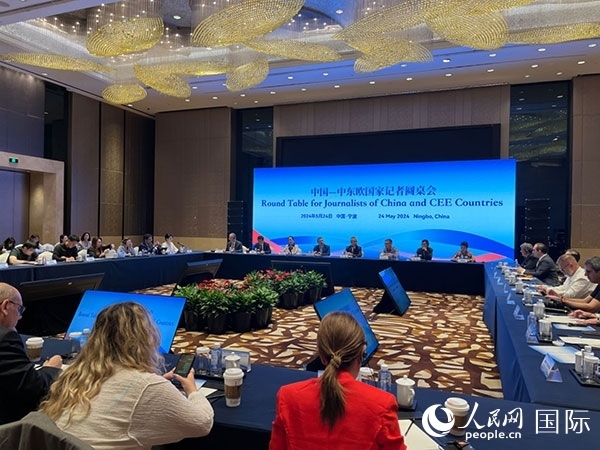 圓桌會現(xiàn)場。人民網(wǎng)記者 周輖攝