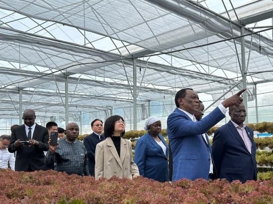 使節(jié)團考察貴州省清鎮(zhèn)駱家橋蔬菜保供基地的無土栽培溫室。新華社記者 袁睿 攝