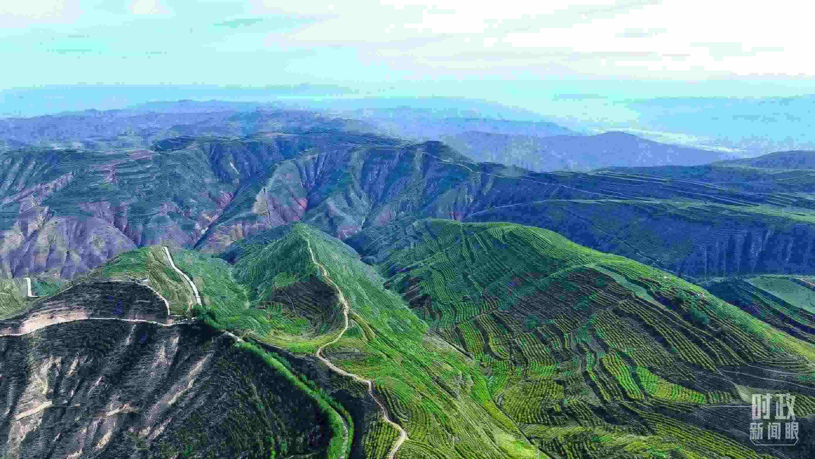 △青海西寧。（總臺記者柳成拍攝）