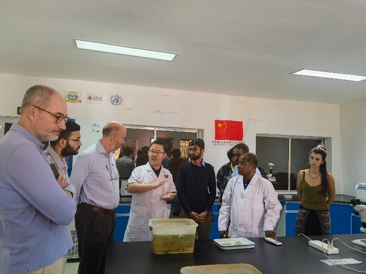 活動(dòng)現(xiàn)場(chǎng)。專家組供圖