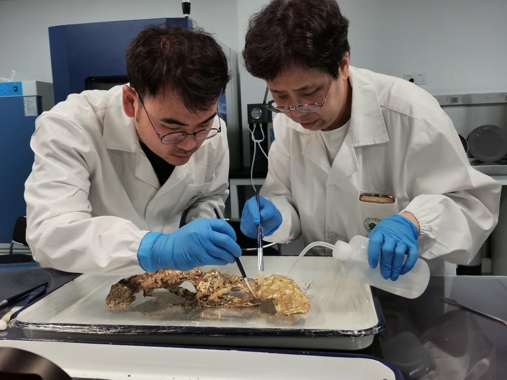 2023年7月，馬燕如（右）帶著魯海子（左）修復(fù)三星堆遺址出土的黃金面具。新華社發(fā)（四川省文物考古研究院供圖）