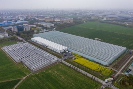 2024年3月28日，空中俯瞰嘉興南湖區(qū)湘家蕩農(nóng)業(yè)數(shù)字化工廠（無人機照片）。該農(nóng)業(yè)數(shù)字化工廠占地總面積約62畝，包含智慧農(nóng)業(yè)生產(chǎn)、物聯(lián)網(wǎng)智能管理、自動分揀包裝、保鮮儲藏物流、高科技示范展示等五大功能區(qū)，可直接或間接培養(yǎng)帶動新型職業(yè)技術(shù)農(nóng)民500人以上。新華社記者 徐昱 攝