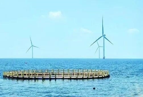 △山東萊州風(fēng)電項(xiàng)目實(shí)現(xiàn)了海上風(fēng)電和海洋牧場(chǎng)融合發(fā)展。