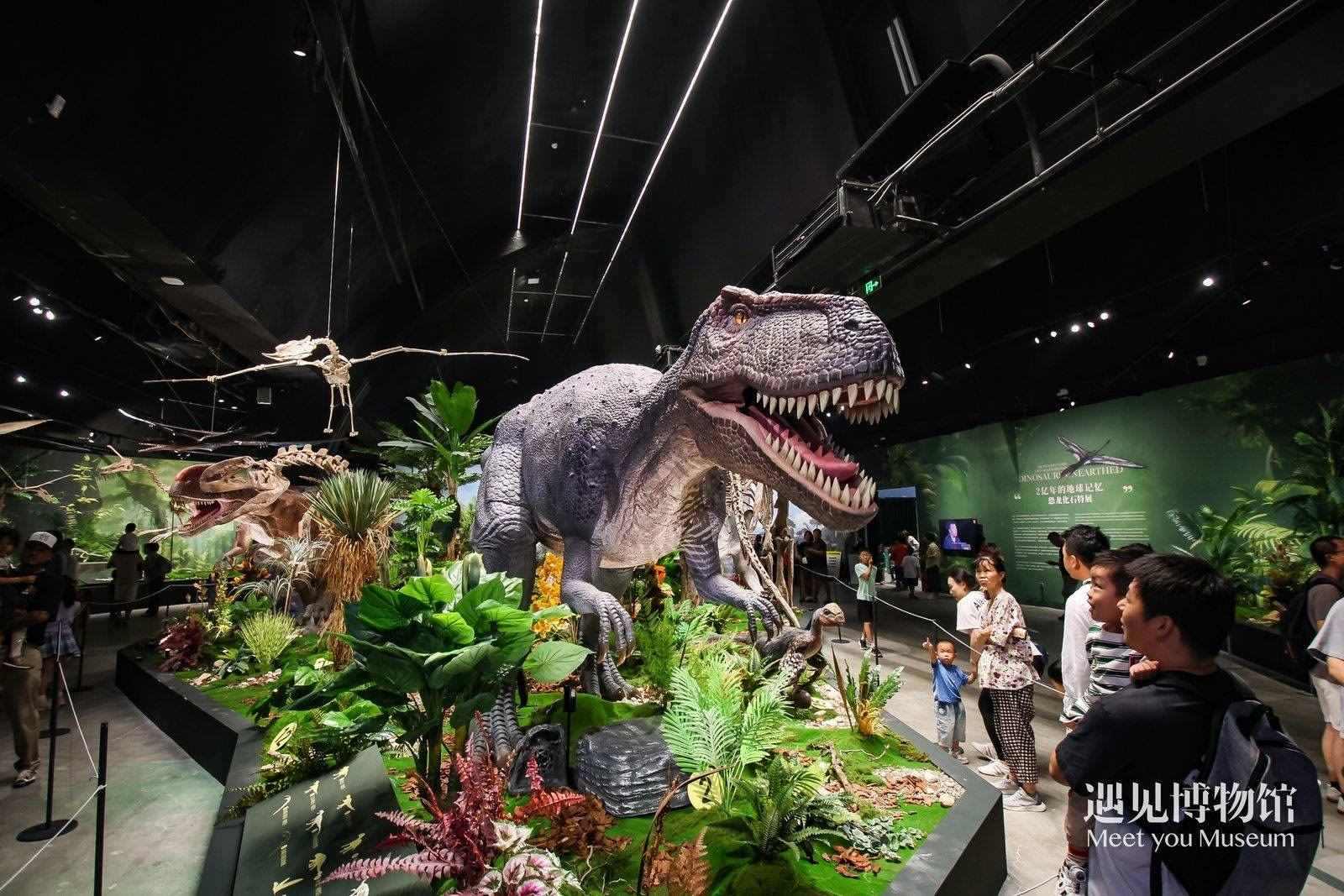 2. 游客參觀“2億年的地球記憶——恐龍化石特展”。遇見(jiàn)博物館供圖