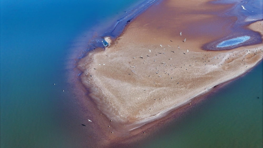 2024年3月1日拍攝的黃河寧夏段（無人機(jī)照片）。