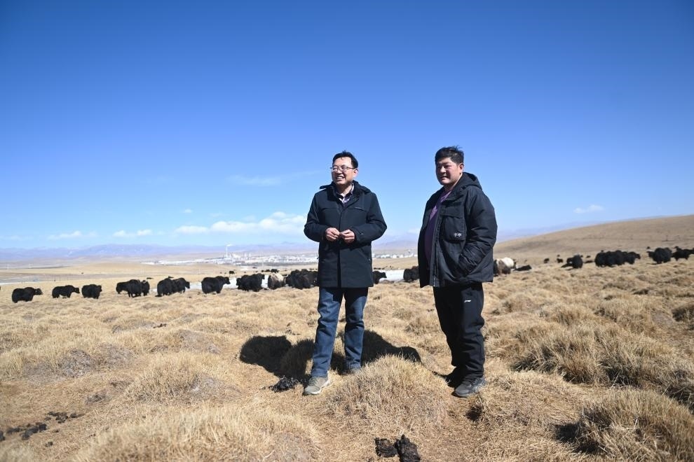 2023年2月24日，在青海省海北藏族自治州海晏縣青海湖鄉(xiāng)達(dá)玉日秀村，全國人大代表董全民（左）查看牧民東知布家的草場。新華社記者 張龍 攝