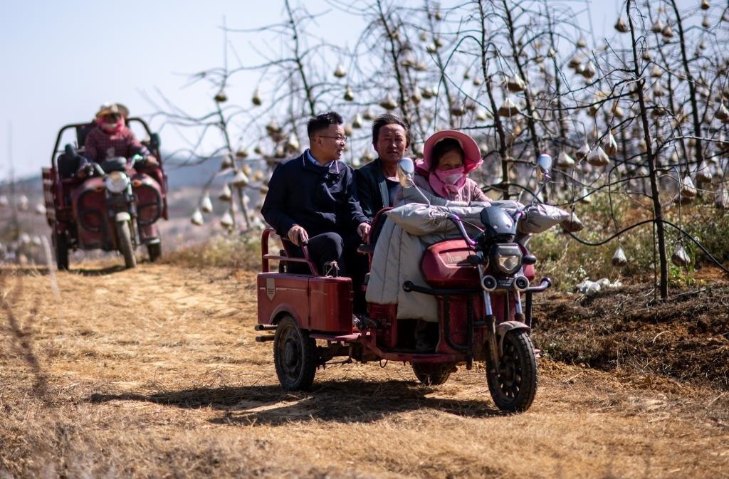 全國人大代表袁海波（右三）在云南省曲靖市馬龍區(qū)一種植基地了解務(wù)工人員就業(yè)需求（2023年2月11日攝）。新華社記者 江文耀 攝