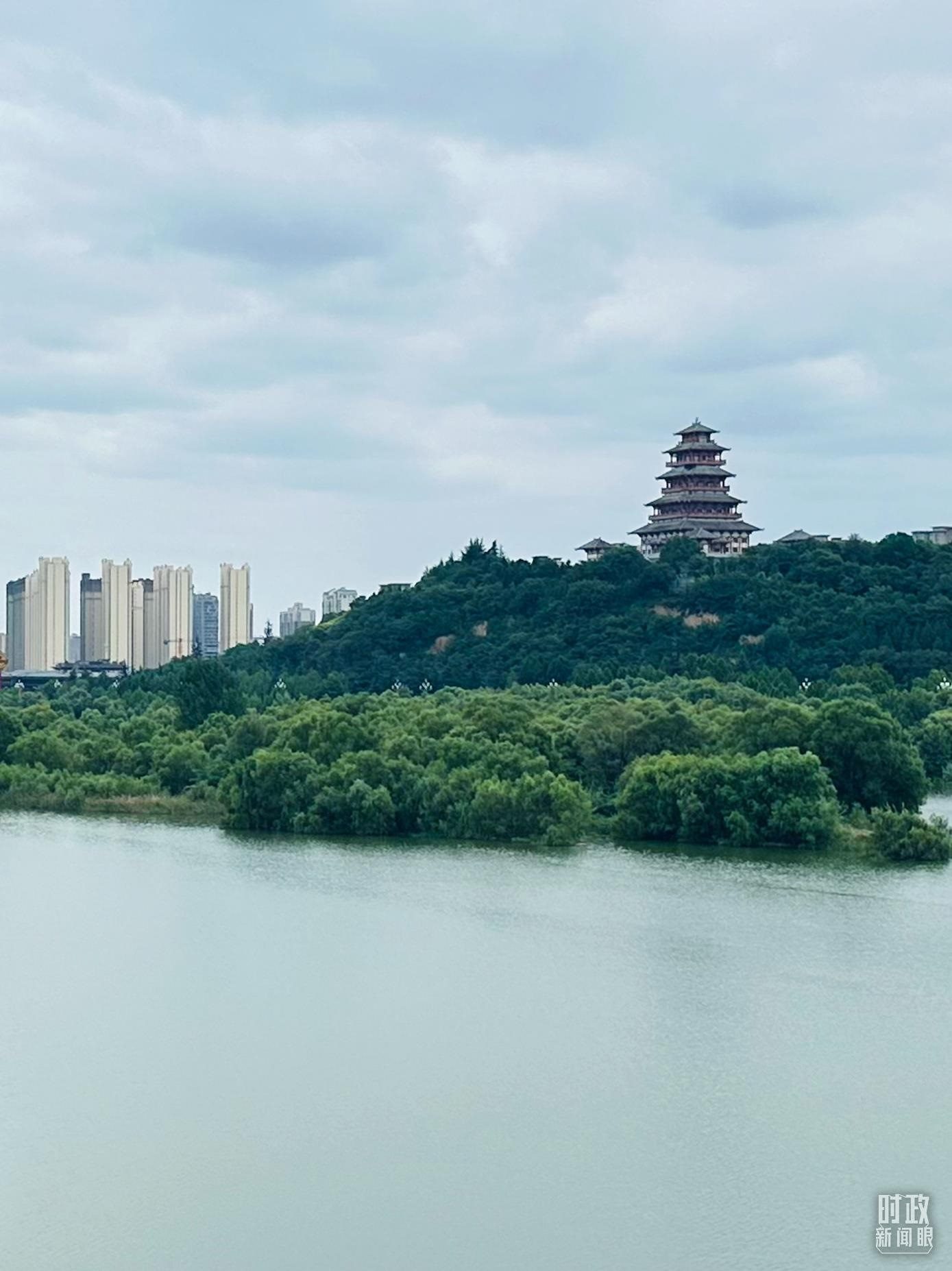 △渭河寶雞段長224公里，目前建成17處渭河灘區(qū)生態(tài)涵養(yǎng)區(qū)。（總臺央視記者范一鳴拍攝）