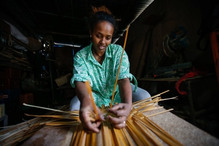 2024年8月10日，菲基爾特·加布雷在埃塞俄比亞首都亞的斯亞貝巴名為“綠色金子”的竹藤工作室里加工竹制產(chǎn)品。新華社發(fā)（邁克爾·特韋爾德 攝）