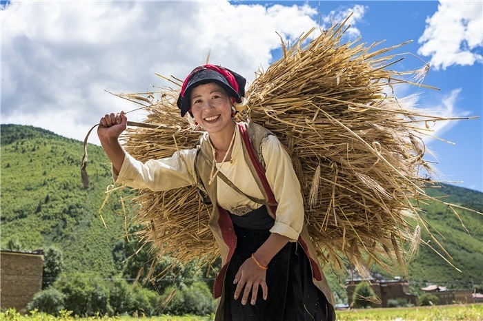 康定市甲根壩鎮(zhèn)青稞豐收，農(nóng)牧民臉上洋溢著豐收的喜悅。林革文攝