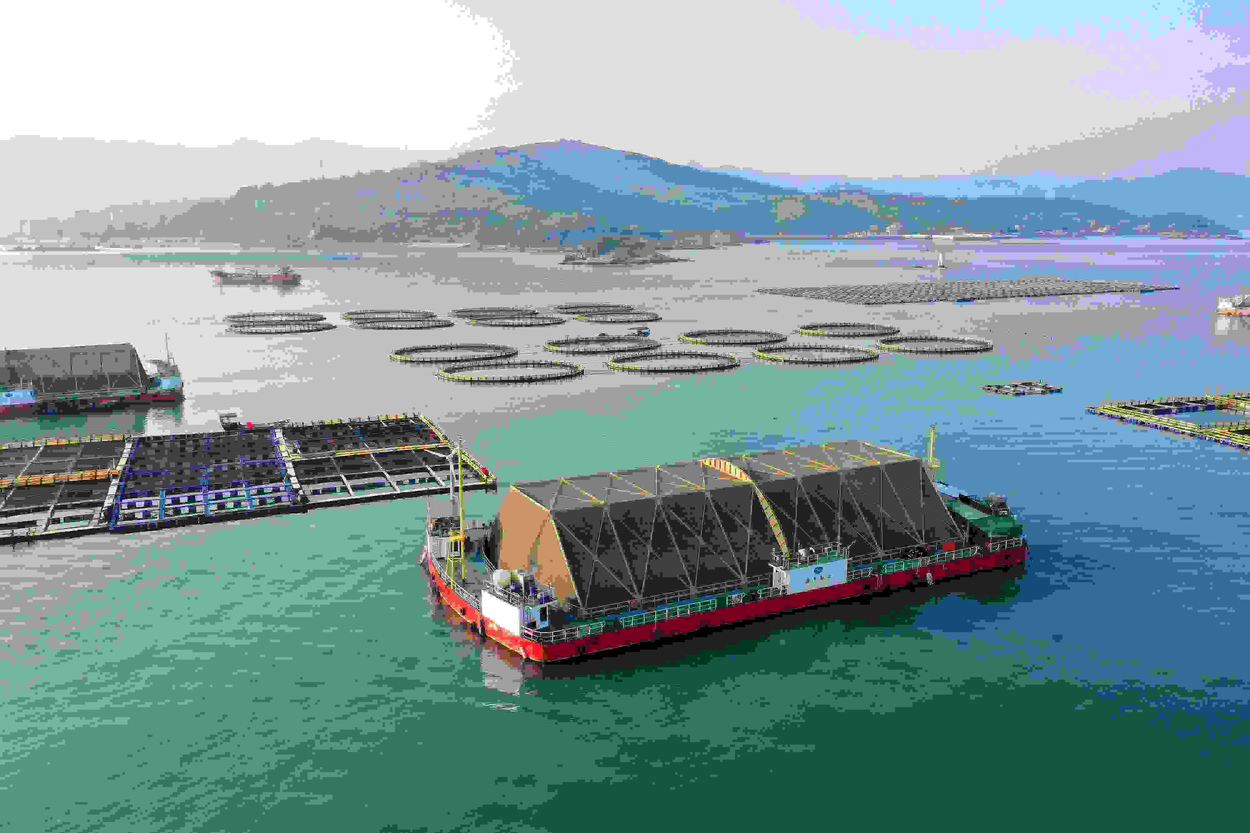 2024年9月10日拍攝的福建省福州市連江縣定海灣海域的現(xiàn)代化“海上糧倉(cāng)”。