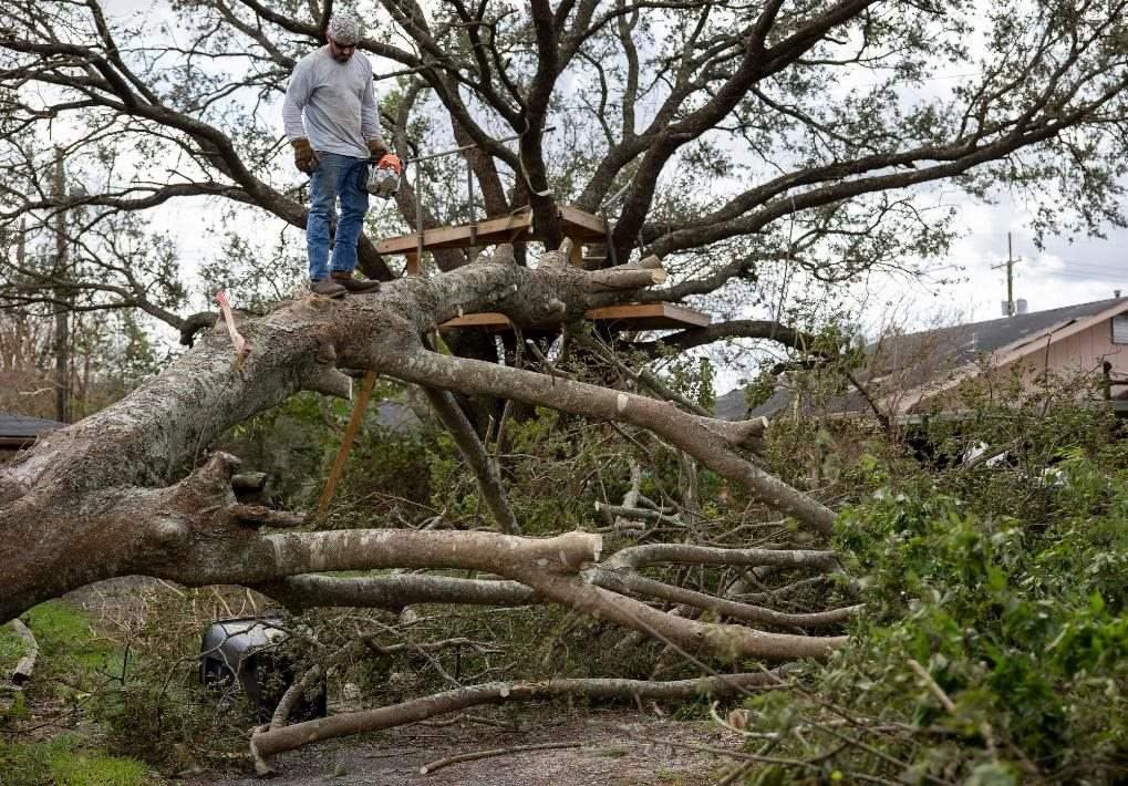 2021年8月30日，在美國路易斯安那州霍馬，一名男子站在被颶風(fēng)吹倒的大樹上。新華社發(fā)（尼克·瓦格納 攝）
